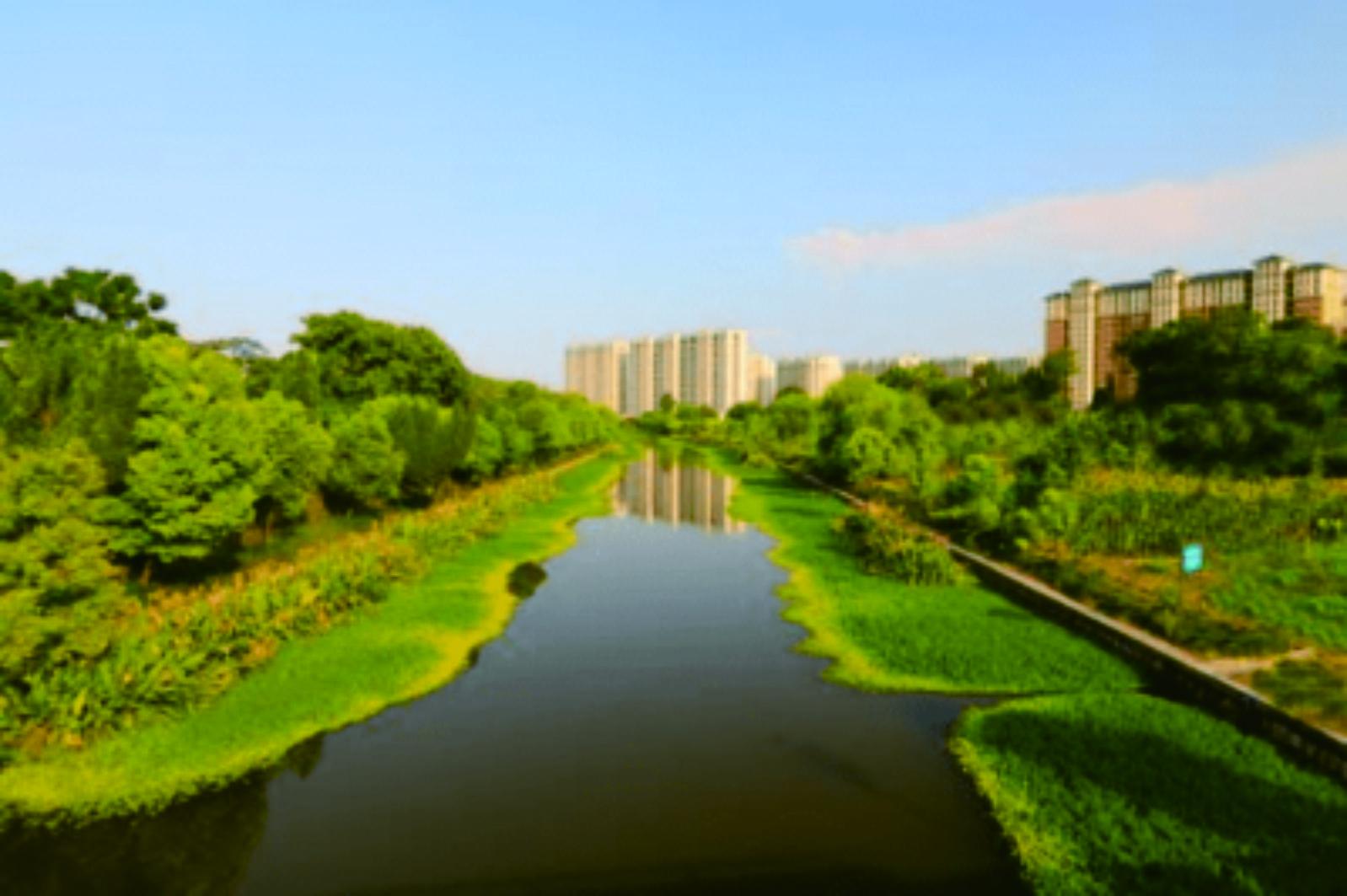 襄城縣循環(huán)經(jīng)濟(jì)產(chǎn)業(yè)集聚區(qū)擴(kuò)容強(qiáng)基遷建、農(nóng)村水系綜合整治工程等項(xiàng)目（EPC）